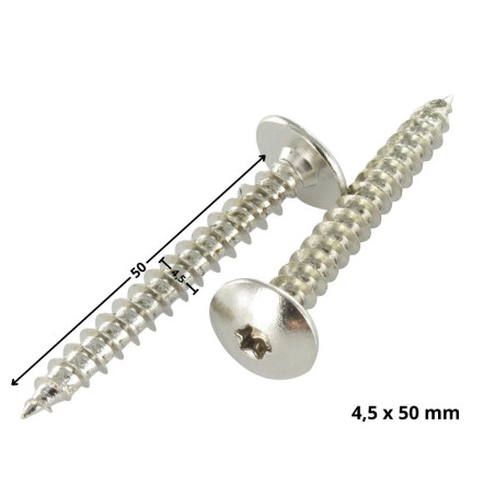 1 x Schroeven scharnier 4,5X50 volledige draad TORX T20 Chroomstaal
