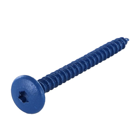 1 x Schroeven scharnier 4,5X50 volledige draad TORX T20 Wit verzinkt staal LAQ RAL5010