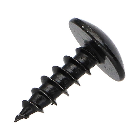 1 x Schroeven scharnier 6X25 volledige draad TORX T30 Zwart gegalvaniseerd staal