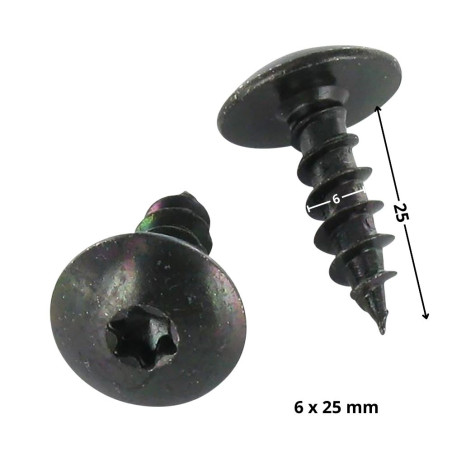1 x Schroeven scharnier 6X25 volledige draad TORX T30 Zwart gegalvaniseerd staal