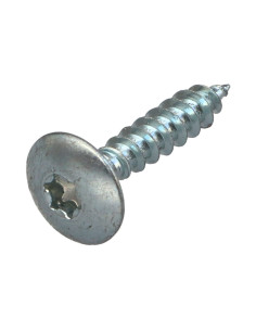 Schroeven scharnier 6X35 gedeeltelijke draad TORX T30 Wit...