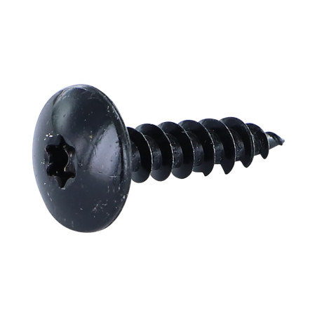 1 x TEKOR houtschroeven Schroeven scharnier 6X25 bedraad op 25 TORX T30 Zwart gegalvaniseerd staal anti-splijtpunt type 17