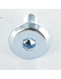 Metalen schroeven plat sleutel van 4 M6X35 Wit verzinkt... 2