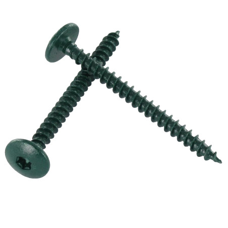 1 x Schroeven scharnier 4,5X50 volledige draad TORX T20 Wit verzinkt staal LAQ RAL6021 lichtgroen