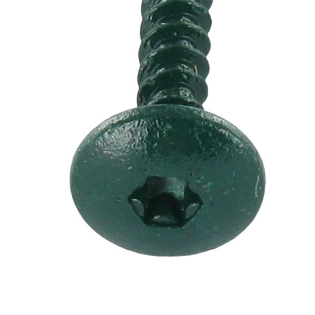 1 x Schroeven scharnier 4,5X50 volledige draad TORX T20 Wit verzinkt staal LAQ RAL6021 lichtgroen