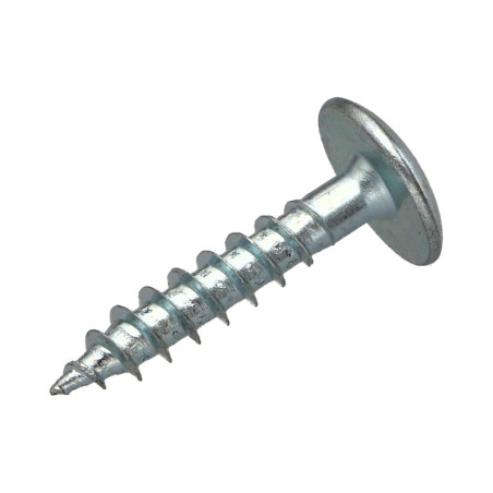 1 x Schroeven scharnier 6X40 gedeeltelijke draad TORX T30 Wit verzinkt staal