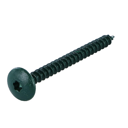 1 x Schroeven scharnier 4,5X50 volledige draad TORX T20 Wit verzinkt staal LAQ RAL6005 mosgroen