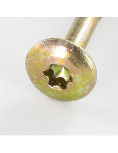 Schroeven scharnier 6X60 bedraad op 43 TORX T30... 2