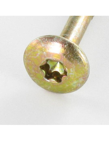 1 x Schroeven scharnier 6X60 bedraad op 43 TORX...