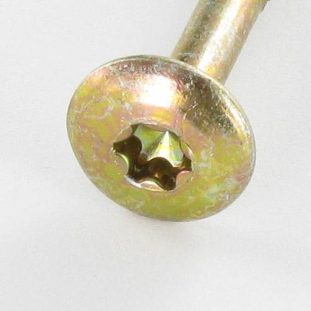 1 x Schroeven scharnier 6X60 bedraad op 43 TORX T30 kopdiameter 14 Bichromaat