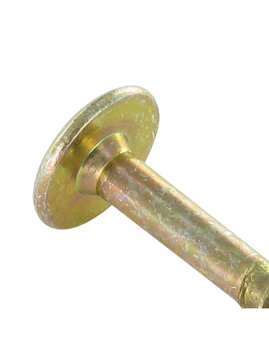 1 x Schroeven scharnier 6X60 bedraad op 43 TORX...