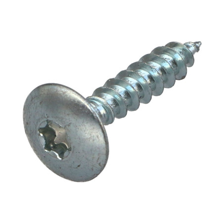 1 x Schroeven scharnier 6X30 gedeeltelijke draad TORX T30 Wit verzinkt staal