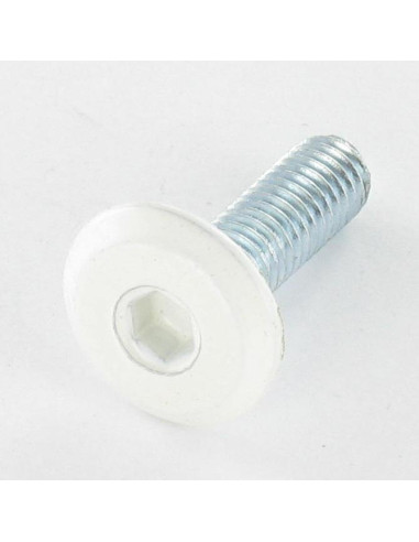 1 x Metalen schroeven plat sleutel van 4 M6X20...