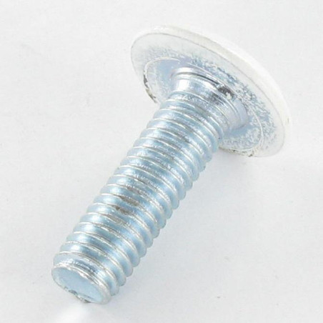 1 x Metalen schroeven plat sleutel van 4 M6X20 Wit verzinkt staal kop RAL9010 zuiver wit