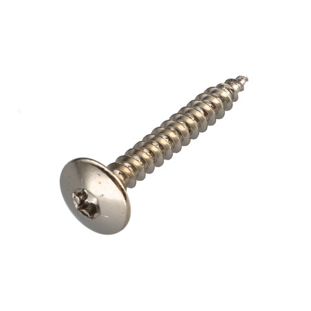 1 x Schroeven scharnier 6X45 gedeeltelijke draad TORX T30 Nikkelstaal