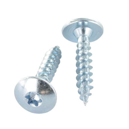 1 x Schroeven scharnier 4,5X50 volledige draad TORX T20 Wit verzinkt staal LAQ RAL1015 licht ivoor