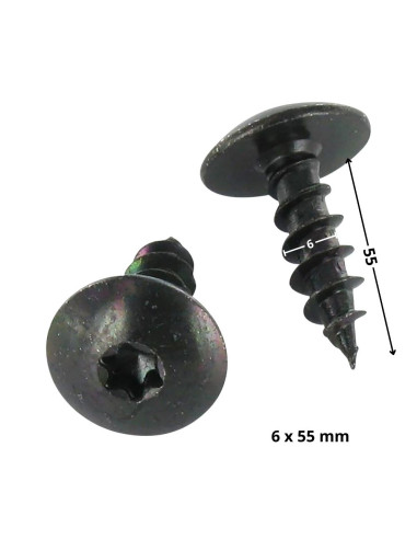 1 x Schroeven scharnier 6X55 bedraad op 55 TORX...