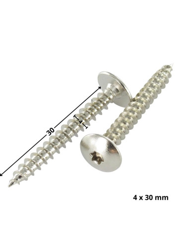 1 x Schroeven scharnier 4X30 bedraad op 20 TORX...