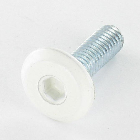 1 x Metalen schroeven plat sleutel van 4 M6X25 Wit verzinkt staal kop RAL9010 zuiver wit