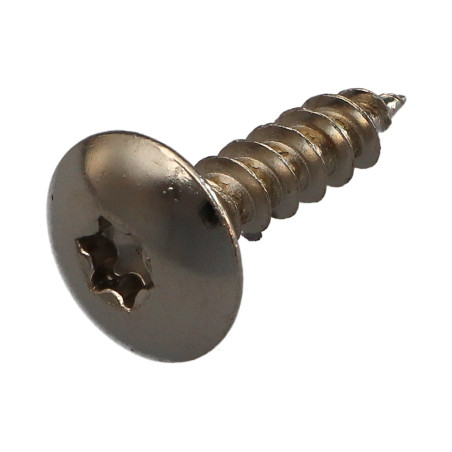 1 x Schroeven scharnier 6X25 volledige draad TORX T30 Nikkelstaal