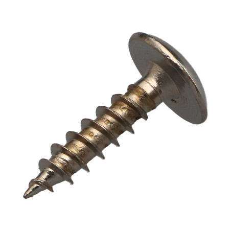 1 x Schroeven scharnier 6X25 volledige draad TORX T30 Nikkelstaal