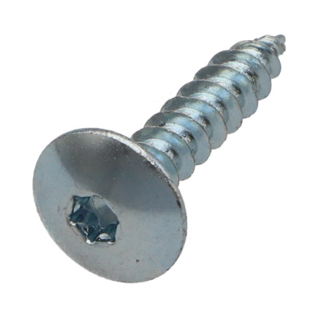 1 x Schroeven scharnier 6X20 volledige draad TORX T30 Wit verzinkt staal