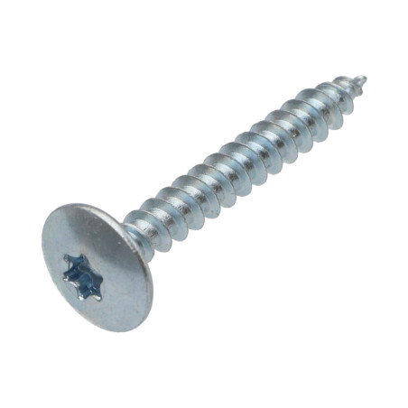 1 x Schroeven scharnier 6X50 gedeeltelijke draad TORX T30 Wit verzinkt staal