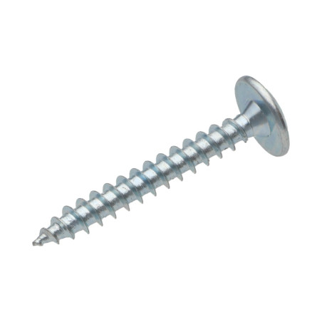 1 x Schroeven scharnier 6X60 gedeeltelijke draad TORX T30 Wit verzinkt staal