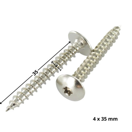 1 x Schroeven scharnier 4X35 bedraad op 20 TORX T20 Nikkelstaal