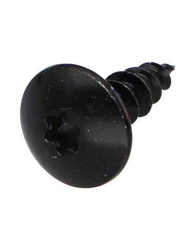 1 x Schroeven scharnier 6X20 volledige draad...