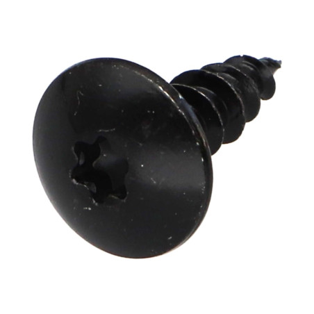 1 x Schroeven scharnier 6X20 volledige draad TORX T30 Zwart gegalvaniseerd staal