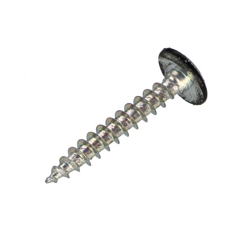 1 x Schroeven scharnier 6X40 gedeeltelijke draad TORX T30 Wit verzinkt staal zwarte lak 9005