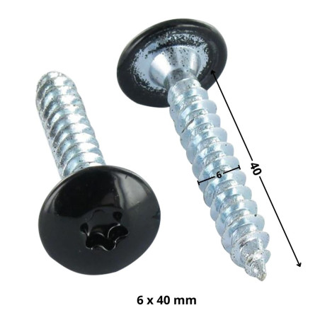 1 x Schroeven scharnier 6X40 gedeeltelijke draad TORX T30 Wit verzinkt staal zwarte lak 9005