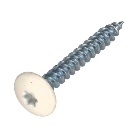1 x Schroeven scharnier 4,5X35 volledige draad TORX T20 Wit verzinkt staal RAL9010 zuiver wit