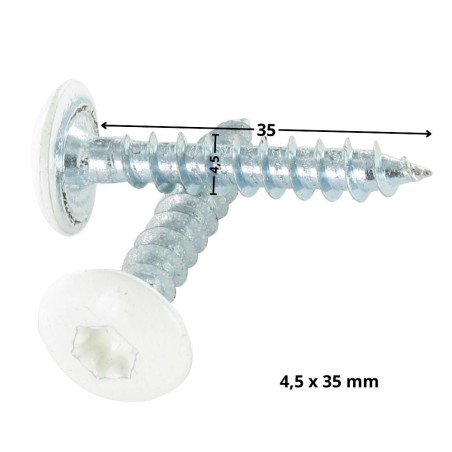 1 x Schroeven scharnier 4,5X35 volledige draad TORX T20 Wit verzinkt staal RAL9010 zuiver wit