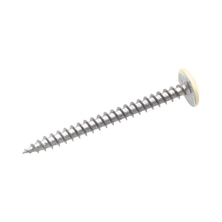 1 x Schroeven scharnier 4,5X50 volledige draad TORX T20 Wit verzinkt staal LAQ RAL9010 zuiver wit