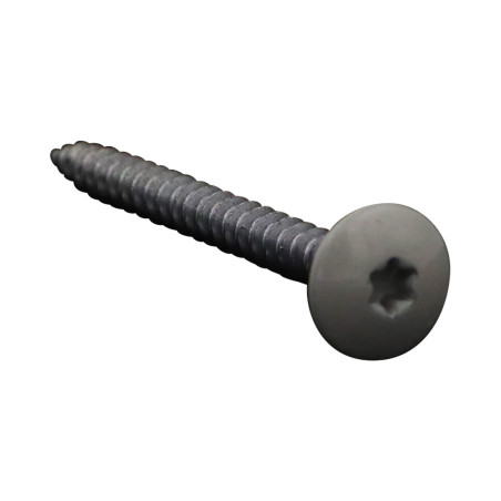 1 x Schroeven scharnier 4,5X50 volledige draad TORX T20 Wit verzinkt staal LAQ RAL7044