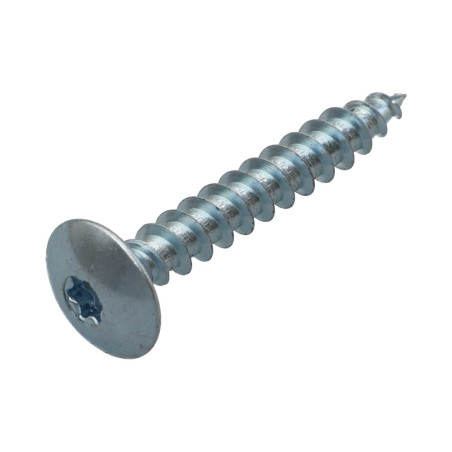 1 x Schroeven scharnier 7X50 gedeeltelijke draad TORX T30 Wit verzinkt staal