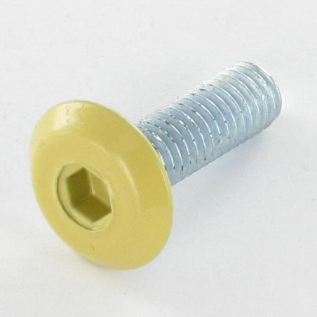 1 x Metalen schroeven plat sleutel van 4 M6X20 Wit verzinkt staal kop RAL1002