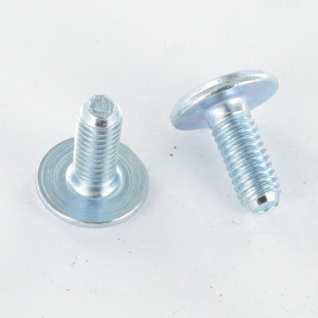 1 x Metalen schroeven plat sleutel van 4 M6X60 bedraad op 30 kopdiameter 12 Wit verzinkt staal
