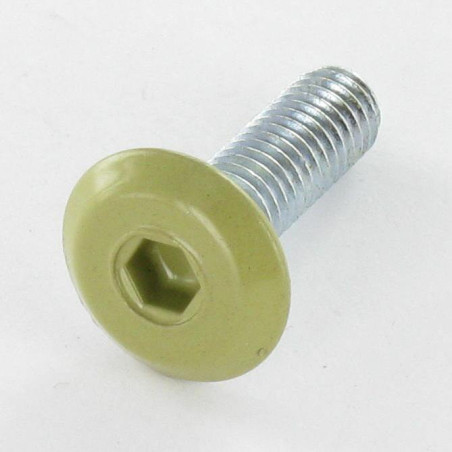 1 x Metalen schroeven plat sleutel van 4 M6X20 Wit verzinkt staal kop RAL1020