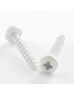 Agglo houtschroeven RVS A2 ronde kop Pozi 3X20...