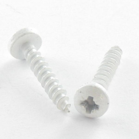 1 x Agglo houtschroeven RVS A2 ronde kop Pozi 3X20 microschroeven RAL9016 verkeerswit