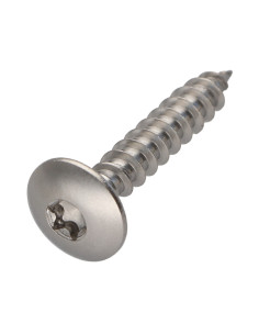 Schroeven scharnier 6X30 volledige draad TORX T30 RVS A2
