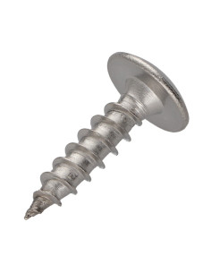 Schroeven scharnier 6X20 volledige draad TORX T30 RVS A2 2