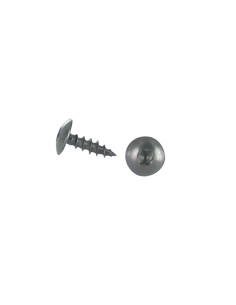 Schroeven scharnier 6X30 volledige draad TORX T30 RVS A2...