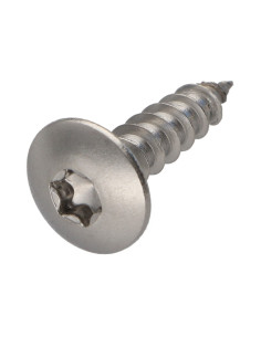 Schroeven scharnier 6X25 volledige draad TORX T30 RVS A2