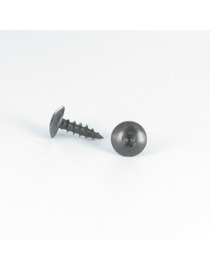 Schroeven scharnier 6X40 bedraad op 38 TORX T30 RVS A2 Zwart