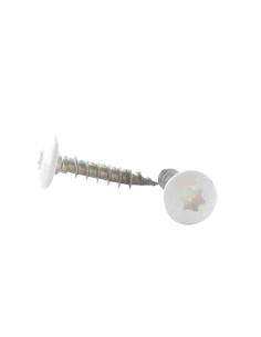 Schroeven scharnier 6X25 volledige draad TORX T30 RVS A2...