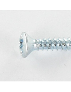 Metaalplaatschroef gefreesde bolkop Pozi 4.2X50 Wit... 2